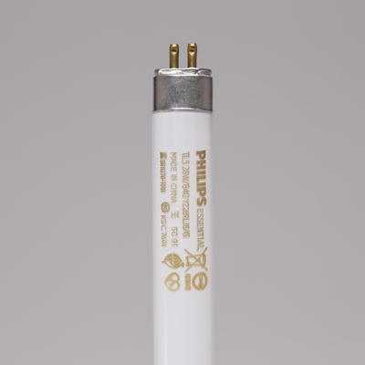 TB0329 (2).JPG