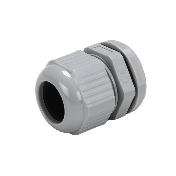 554 (1).png