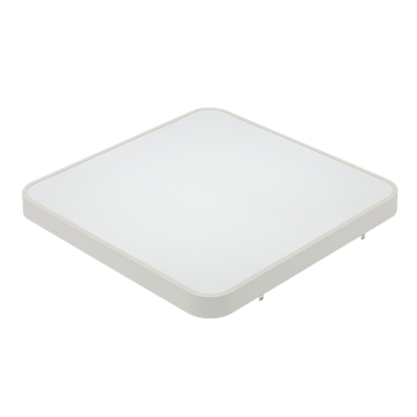 235042 (1).png