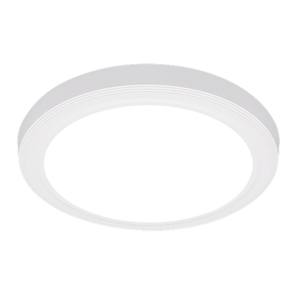 266406 (1).png