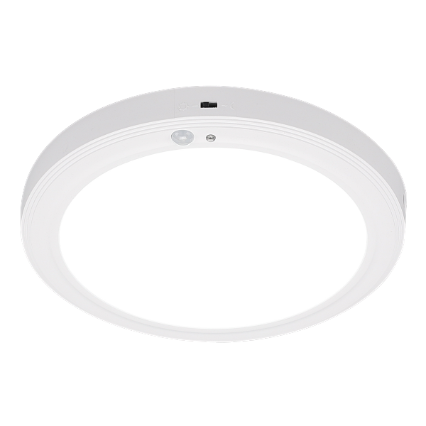 266408 (1).png