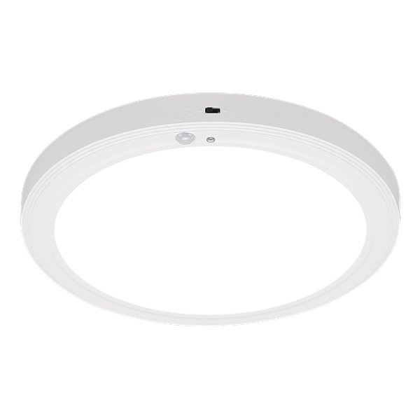 266415 (1).png