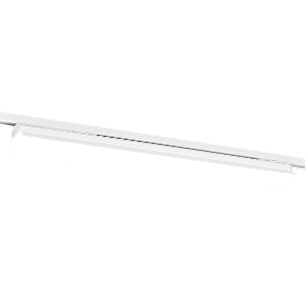 319725 (1).png
