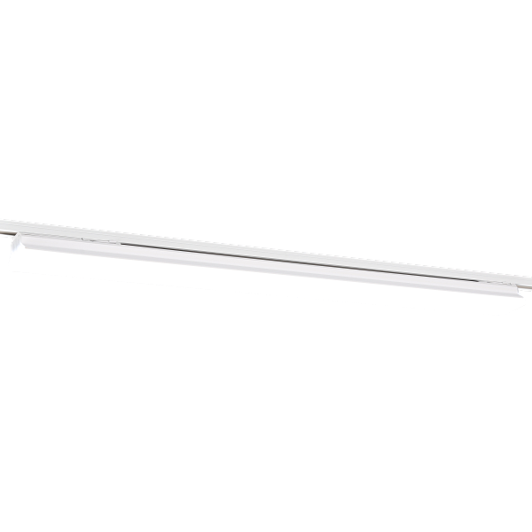 319728 (1).png