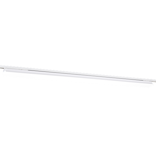319731 (1).png