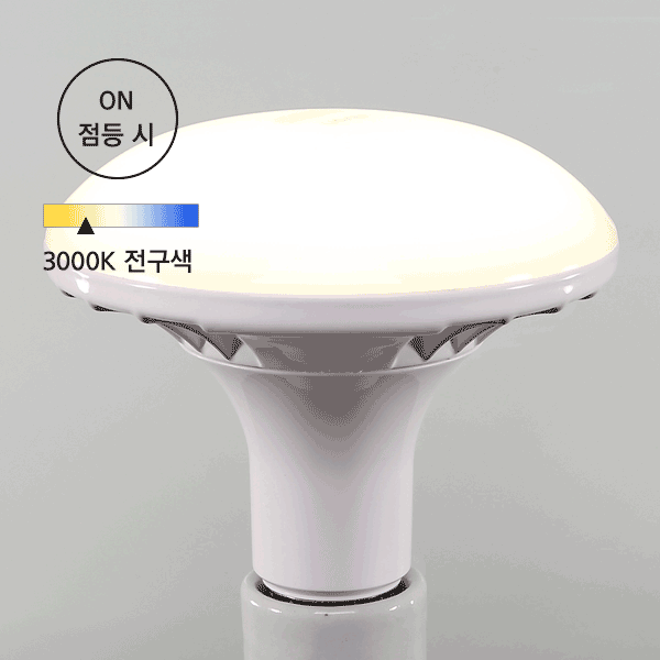 롱디쉬(전구).gif