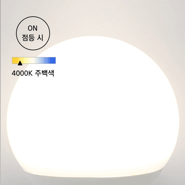 볼구(주백)_메가 (2).gif