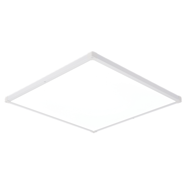 379097 (1).png