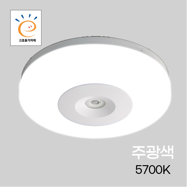 LED그린티 원형 LED 센서등 비상 프리미엄 고효율 15W/15W 마이콤센서 주광 KS - DOTI 갓생을 위한 올인원 스토어
