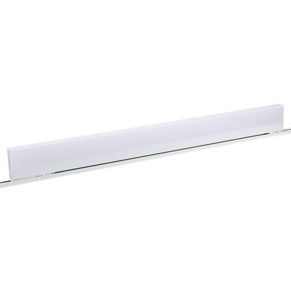 393903 (2).png