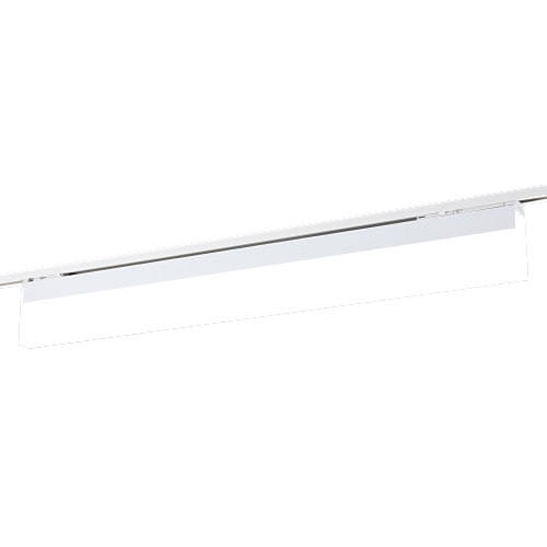 393905 (1).png