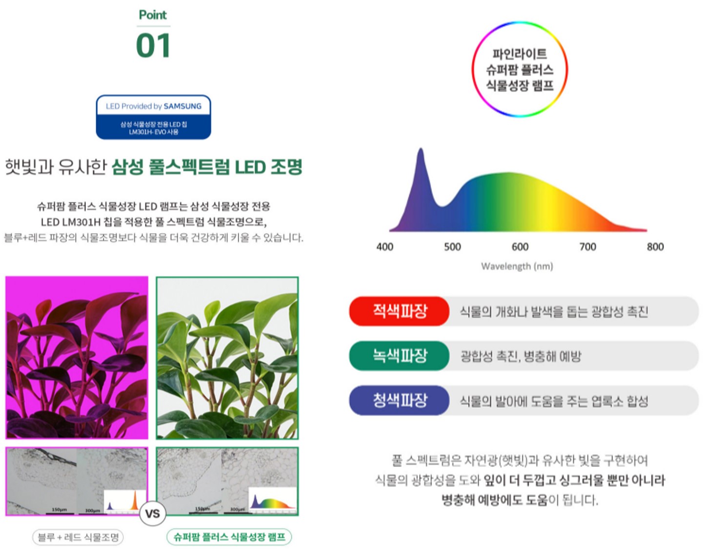 상품 이미지 (12)