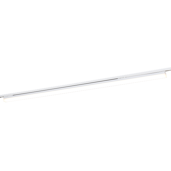 53256.png