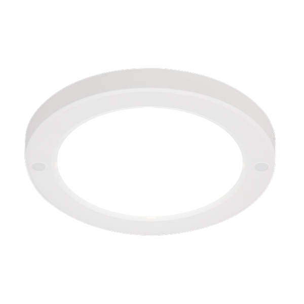 53774.png